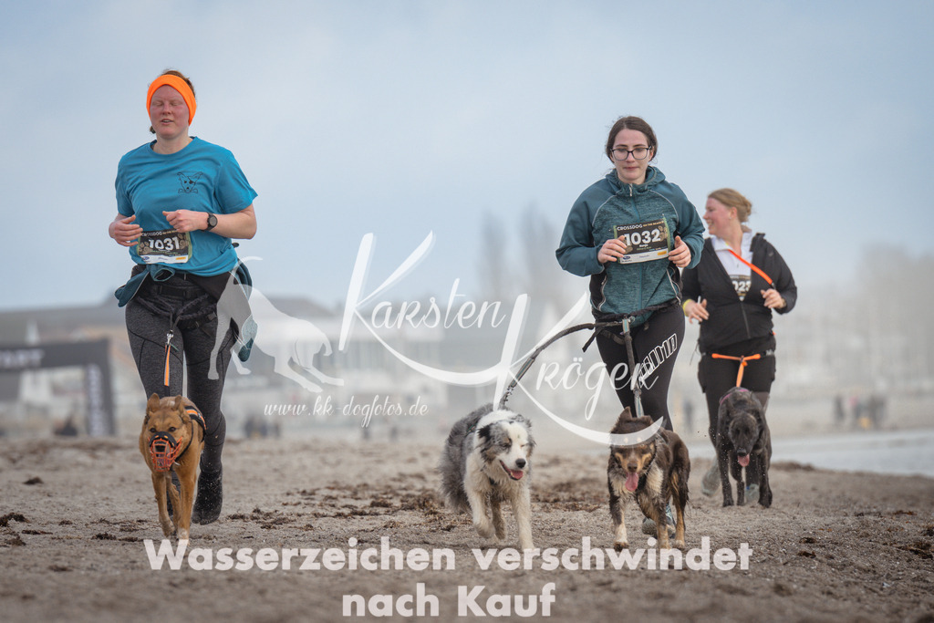 1213_ZZ95017 | kk-dogfotos