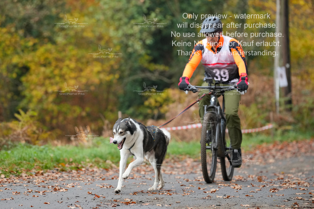 Bike_So-116 | stephaniefillaphotographie - Realisiert mit Pictrs.com