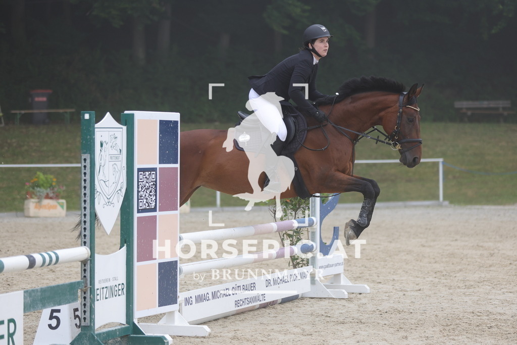 0P6A7703 | Willkommen bei Brunnmayr - Design & Fotografie – Ihrem Spezialisten für Reitturniere und Pferdeveranstaltungen in Oberösterreich, Salzburg und Bayern! Seit über 17 Jahren sind wir leidenschaftlich dabei.