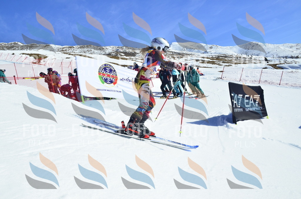 _ELE9724 | holidayphoto