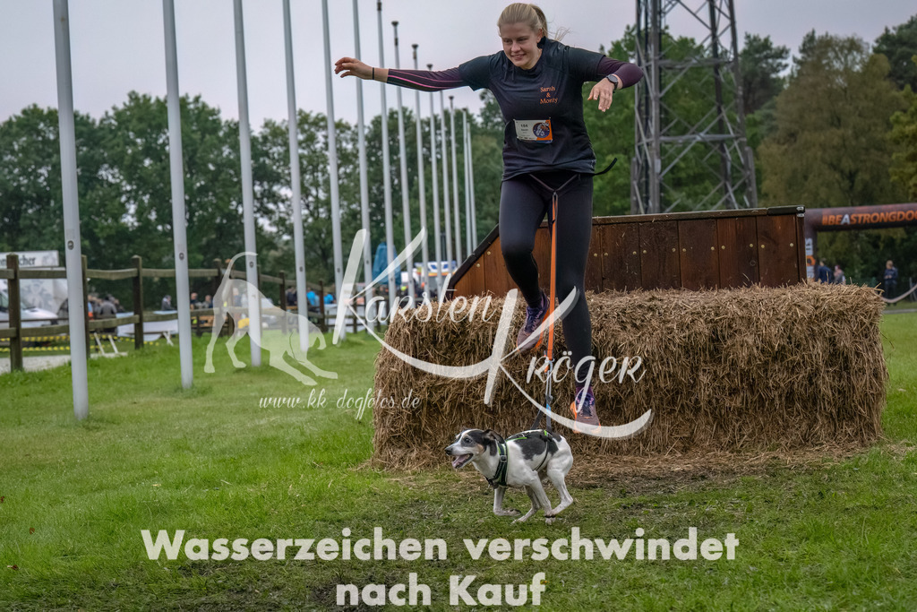 1212--14 | kk-dogfotos