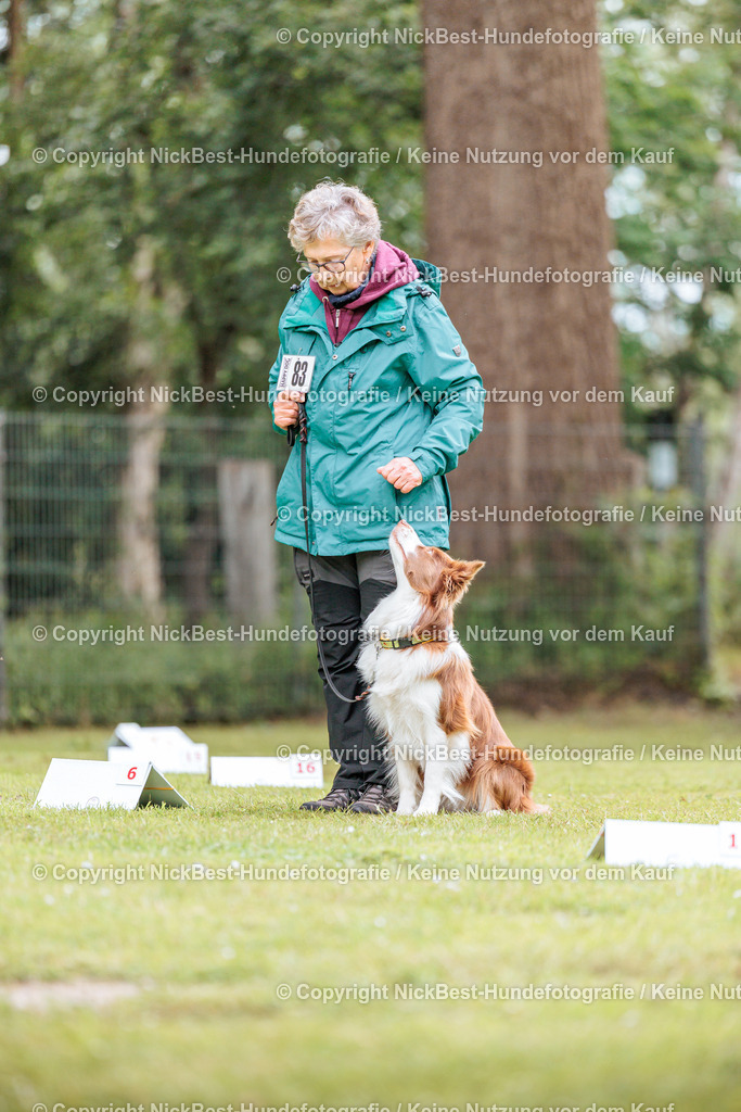 RO-Blumenthal-2026-Nickbest-Hundefotografie-5571 | Dein Hund! Dein Moment! Deine Erinnerungen! Hundefotografie in Bremen Blumenthal. Ich fange die besonderen Momente deines Vierbeiners ein – ob Indoor mit Blitzanlage oder in der freien Natur. Sicher dir dein Moment und dein Termin für eure Erinnerungen.