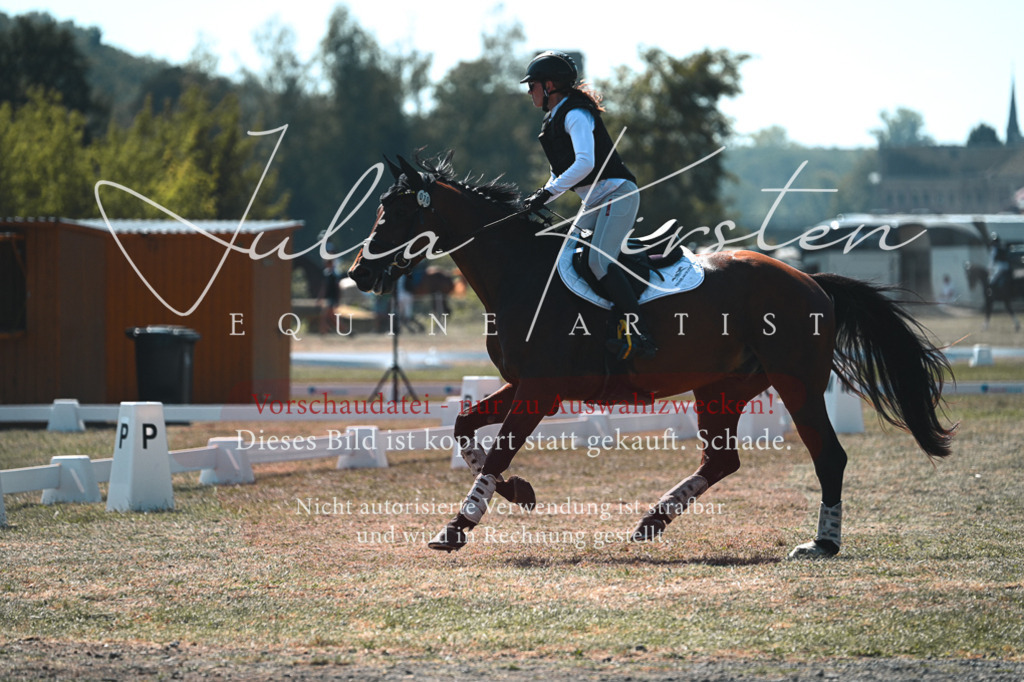 DSC_8295 | Pferde- und Turnierfotografie in Westsachsen. Pferdeportraits, Auftragszeichnungen und intuitive Kunst.
