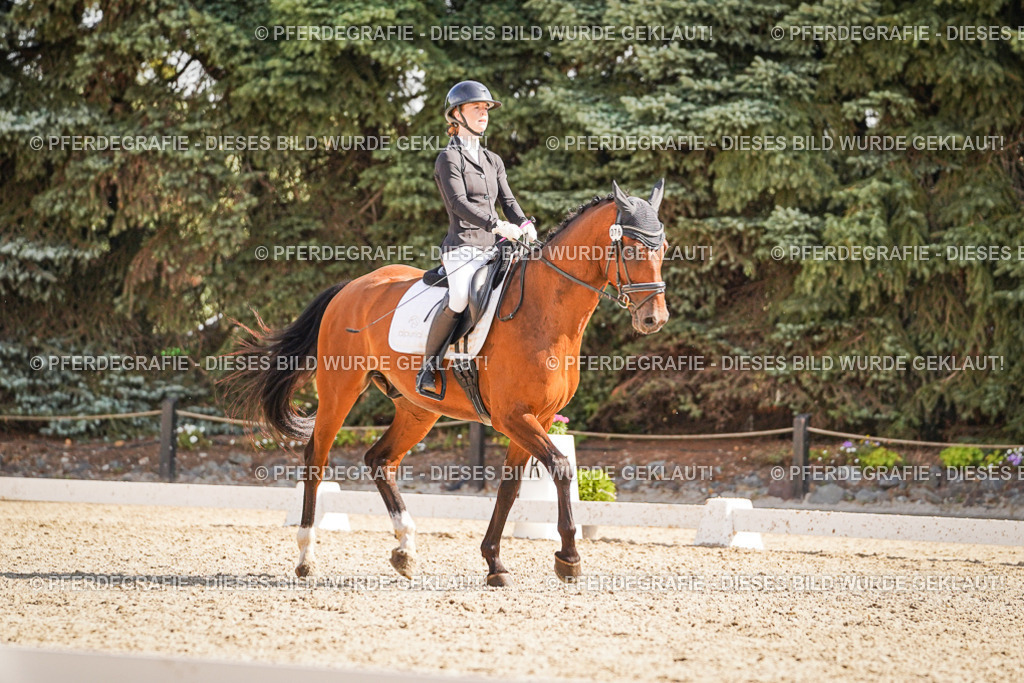 DSC00519 | Pferdegrafie