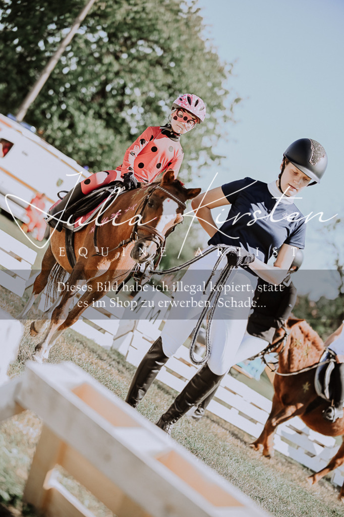 DSC_8859 | Pferde- und Turnierfotografie in Westsachsen. Pferdeportraits, Auftragszeichnungen und intuitive Kunst.
