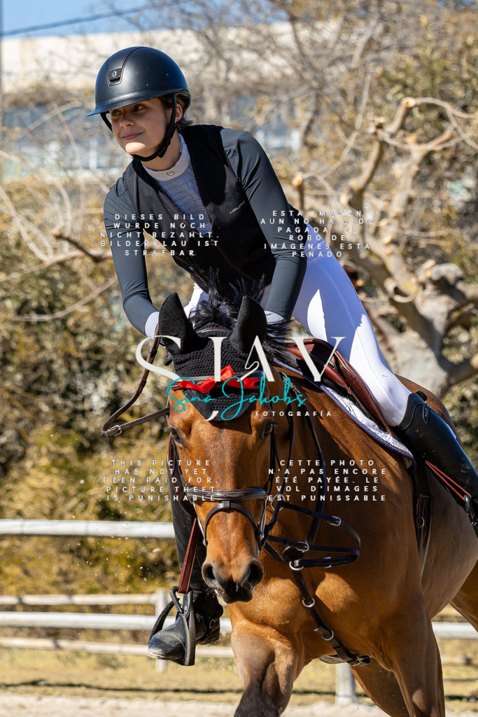 IMG_0906 | s-jay-photography - Realisiert mit Pictrs.com