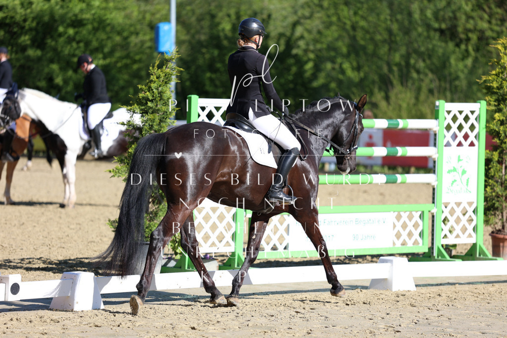 IMGT9543 | pl-fotografie