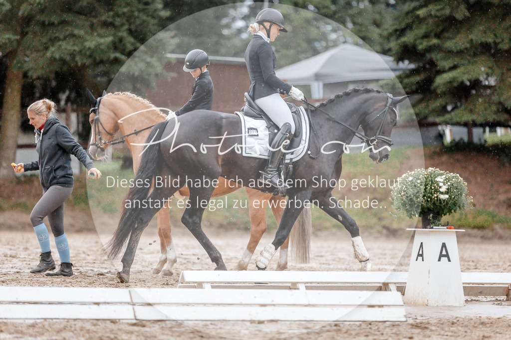 3I6A5468 | Stimmungsvolle Portraits und Reitsportfotografie im Ruhrgebiet und im Münsterland.

Pferdefotografie, Hundefotografie, Tierfotografie, Reportagen, Portraits von Tier und Mensch, Turnierfotografie in Bochum, Recklinghausen, Marl, Haltern am See, Dülmen.. - Realisiert mit Pictrs.com