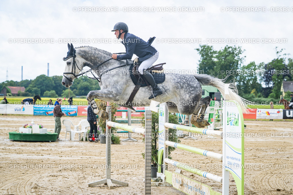 DSC04484 | Pferdegrafie