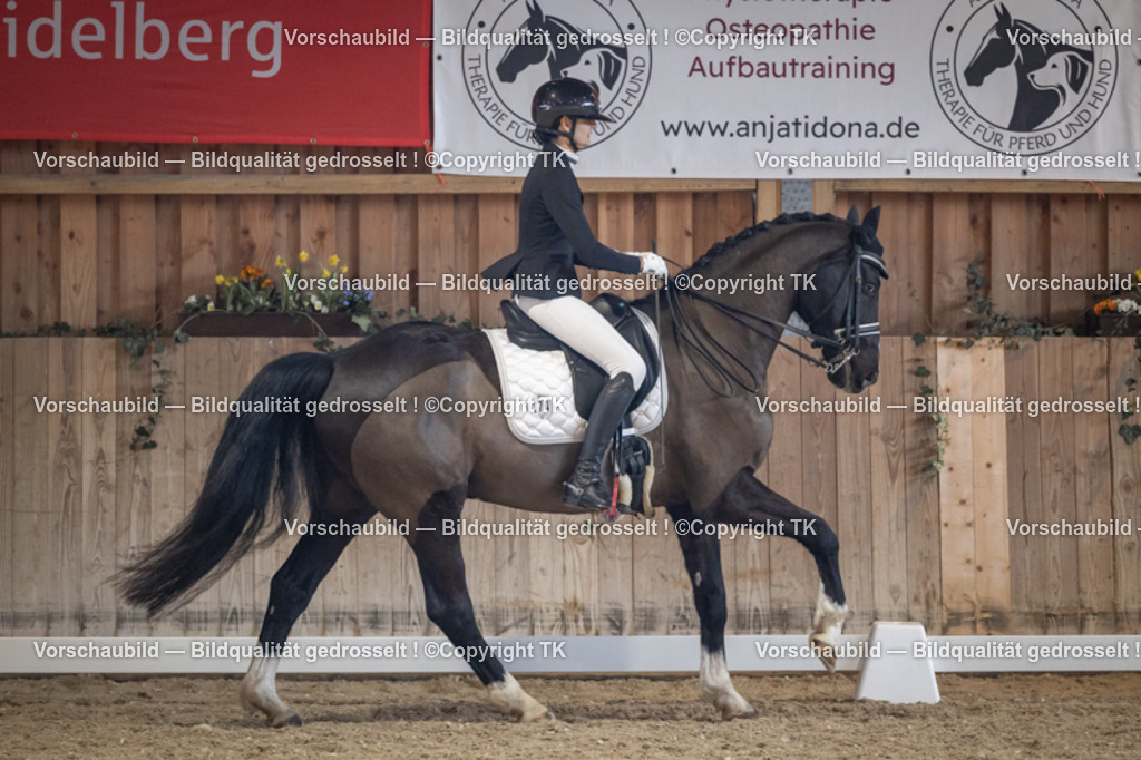 _D5A1780 | Emotionale Pferde- & People-Fotografie rund um Heidelberg, Leimen & Umgebung. Natürliche Fotos von Pferd, Mensch & Familie. Jetzt Termin sichern!
