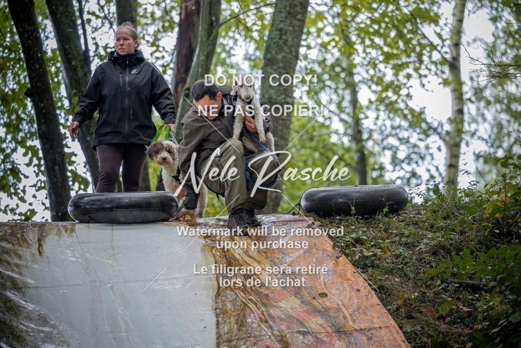nelerasche_Hunsrück_Sa1430-1500_56-final | nelerasche