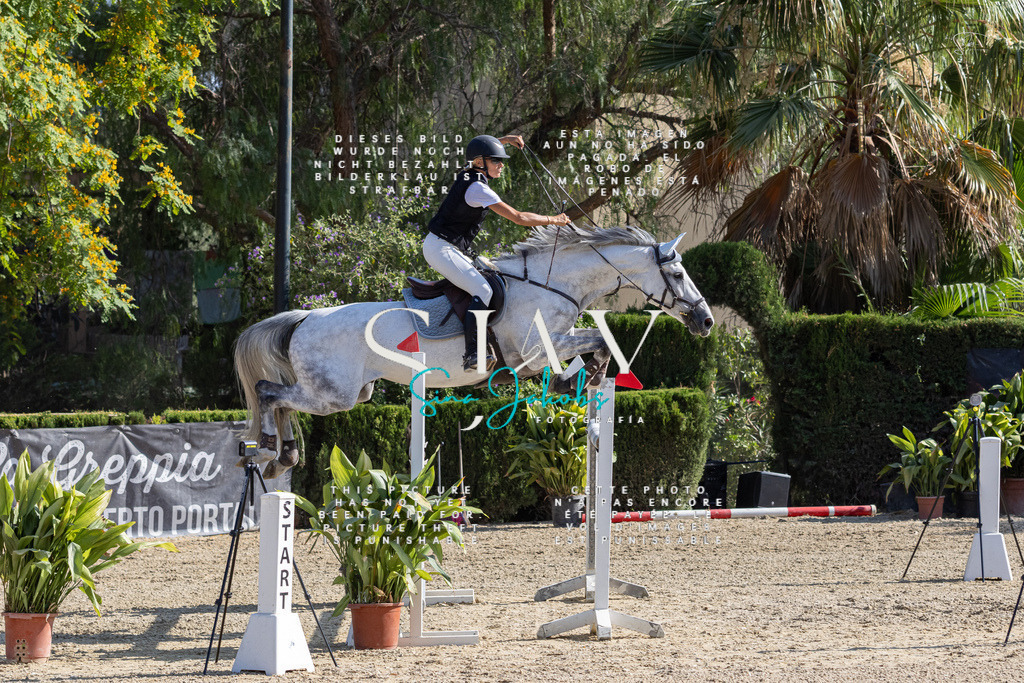 IMG_4403 | s-jay-photography - Realisiert mit Pictrs.com