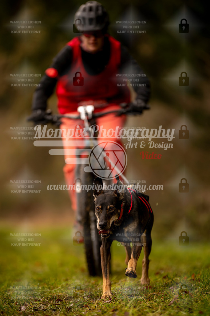 MompixPhotography_2SSTSSBW_2025_SO_Bike-90 | PayLife