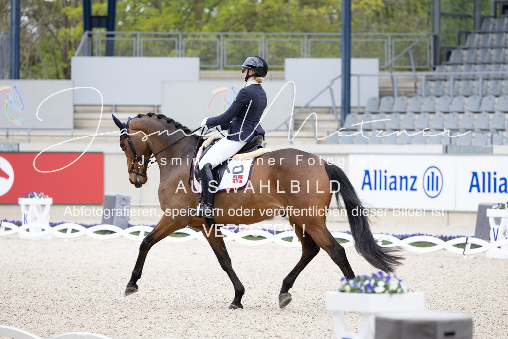 126A0918 | jasminmetznerfotografie