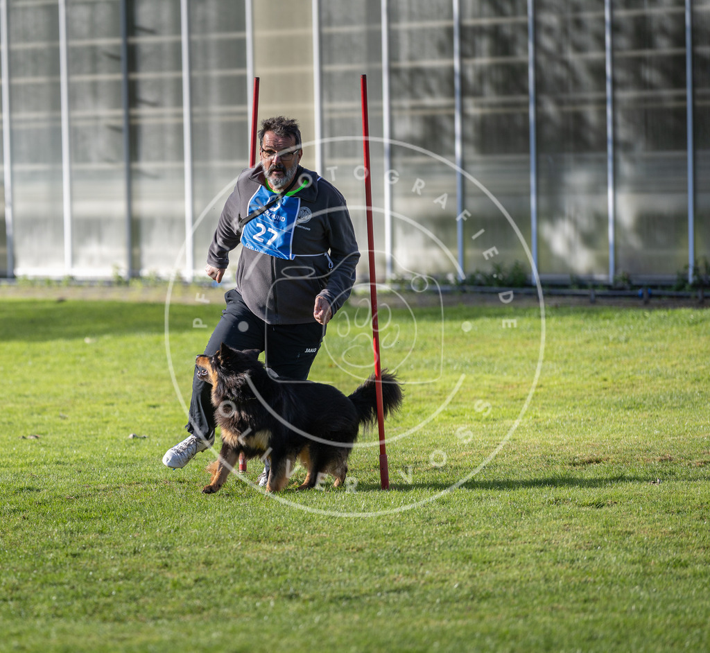 Pfotenfotografie.de_DV3A3274 | Hundefotografie, Tierfotograf, Pfotenfotografie, Fotoshooting Hund, Hunde Portrait, Hundesport, Hundeportraits, Heideshooting, Hunde, Sportfotograf, Hundefotograf, Turnierhundsport, THS, canicross - Realisiert mit Pictrs.com