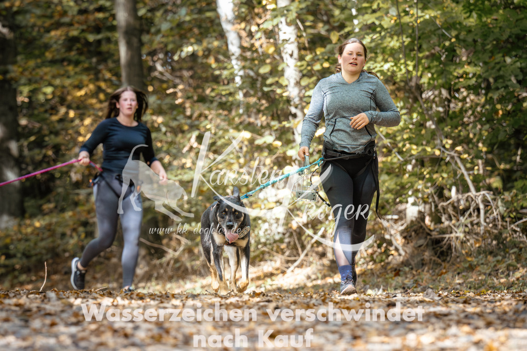 1253_ZZ96510 | kk-dogfotos