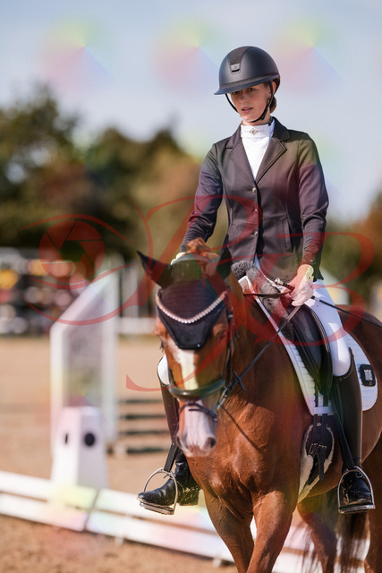 2026_10_03_Siefer-Hof_132735_Z81_82200361 | Professionelle Reitsport-, Turnier- und Eventfotografie von Robert Broda. Galerien mit ausgewählten und bearbeiteten Bildern direkt online ansehen und bestellen.