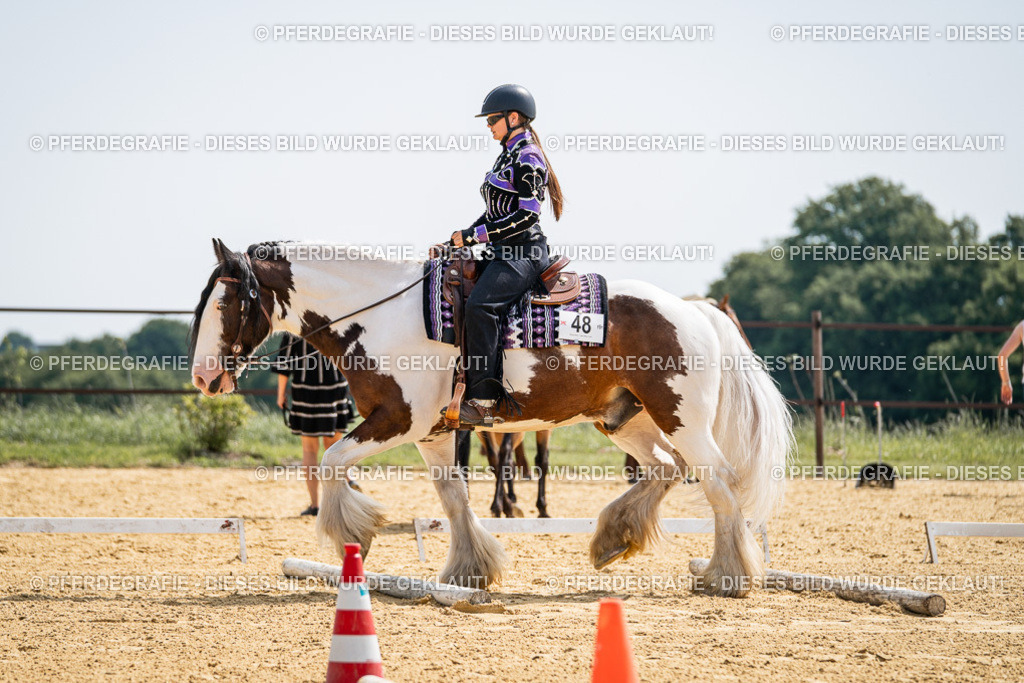 DSC00034 | Pferdegrafie