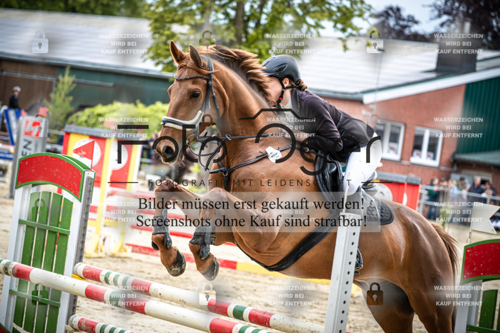 DOS_2470 | Reitturnier Lüdinghausen - Realisiert mit Pictrs.com