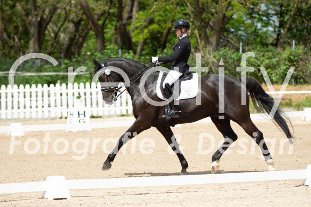 IMG_5853 | Creatify Fotografie