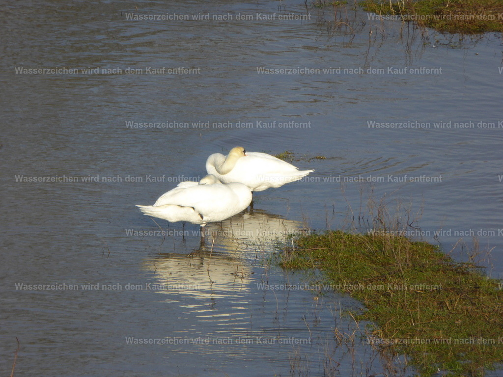 P1000752 | Entdecken Sie die faszinierende Welt von Norbert Michels: Surreale Kunstwerke, hochwertige Fotos, Leinwandbilder & Fotoprodukte wie Tassen mit bild7 - Realisiert mit Pictrs.com