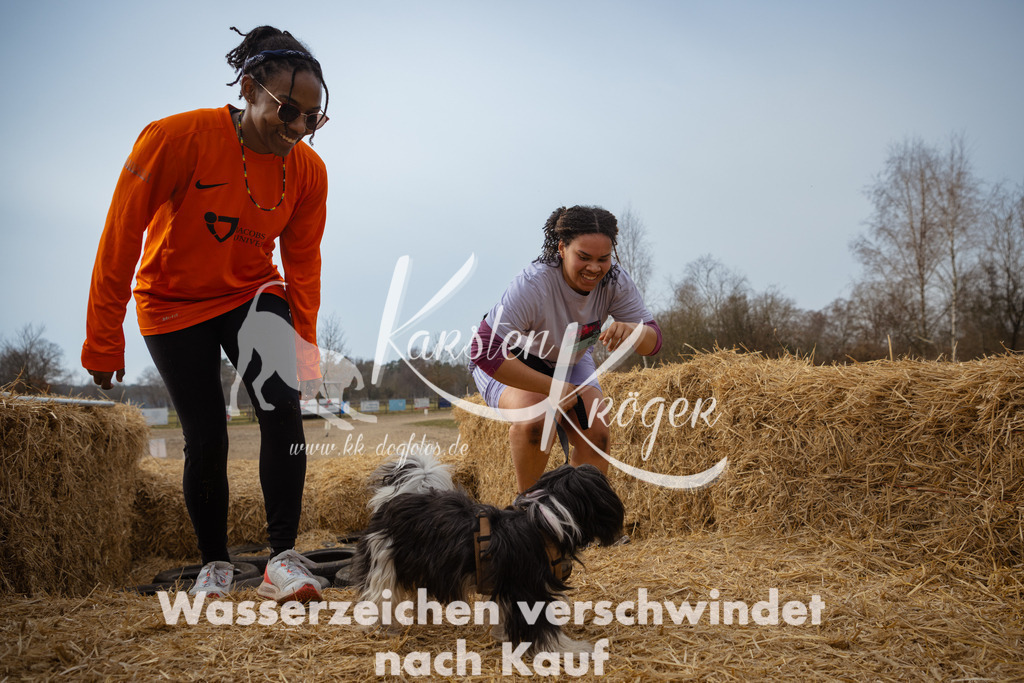 1145_ZZ95512 | kk-dogfotos