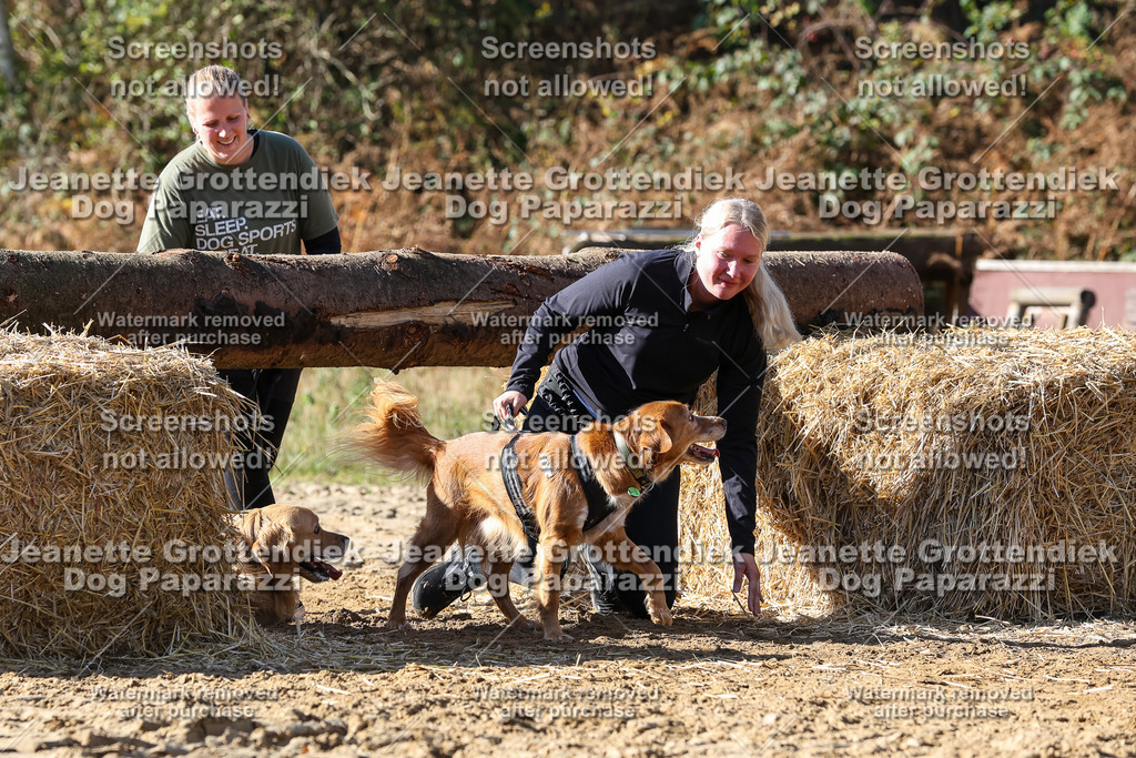 Dog Paparazzi - Strongdog 10-25-4781 | Dog Paparazzi Jeanette Grottendiek Fotografie & Videografie - Realisiert mit Pictrs.com