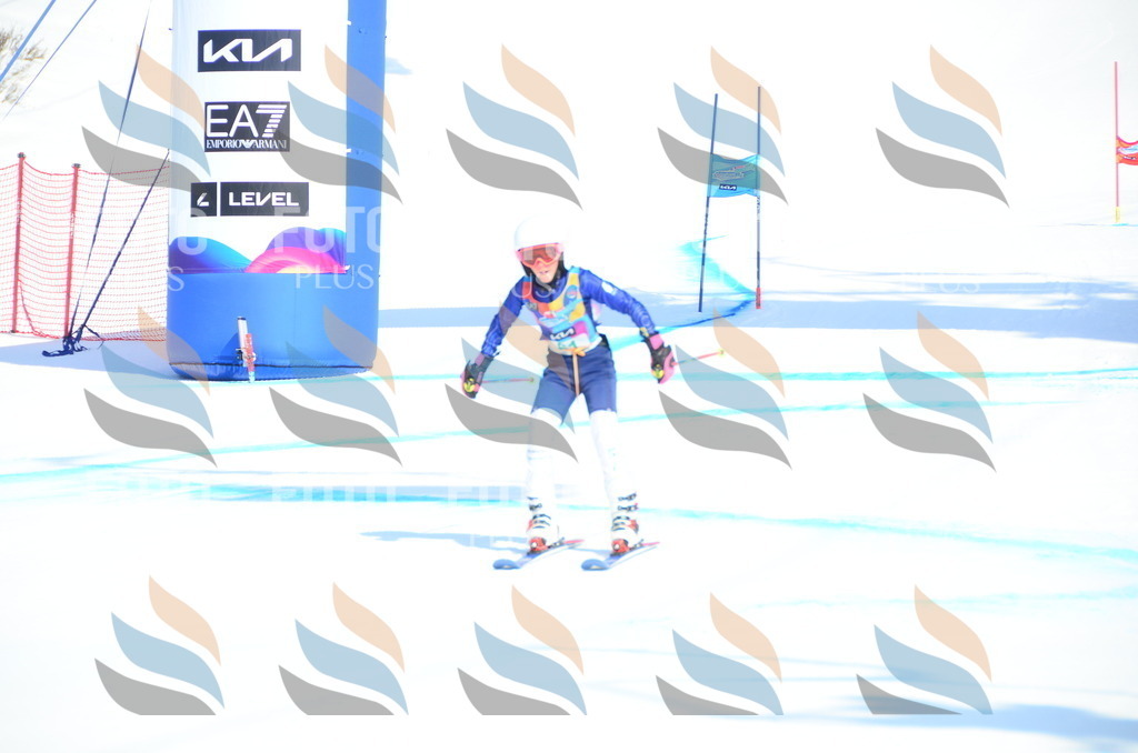 DSC_0321 | holidayphoto