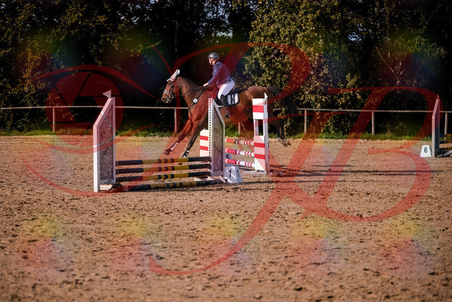2026_10_03_Siefer-Hof_160647_Z81_88552921 | Professionelle Reitsport-, Turnier- und Eventfotografie von Robert Broda. Galerien mit ausgewählten und bearbeiteten Bildern direkt online ansehen und bestellen.