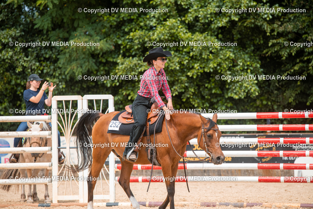 EWP_6413 | dv-media-shop - Realisiert mit Pictrs.com