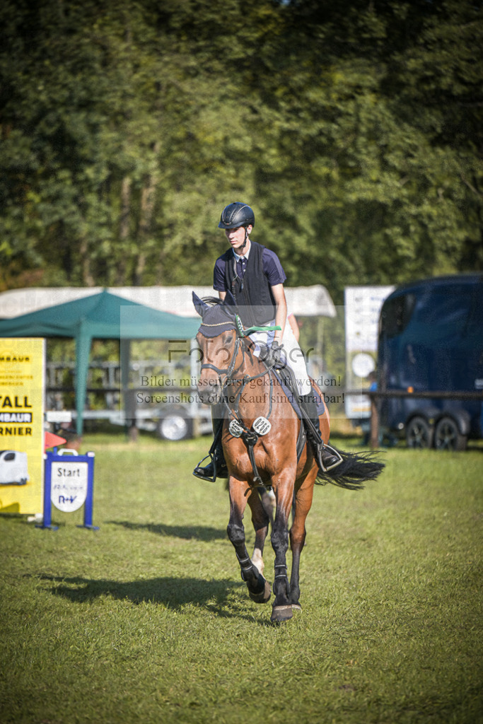 DOS_0109 | Entdecke hochwertige Reitturnierfotos von Foto Oger. Professionell, emotional und authentisch – jetzt Lieblingsmomente im Shop bestellen.Deutschlandweite Turnierfotografie. - Realisiert mit Pictrs.com