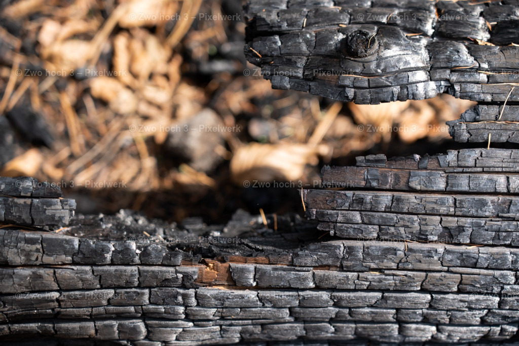 Fremdenweg_nahe_Katzenstein_Waldbrand_Struktur_Unschaerfe | 2022-08-30_Waldbrandgebiete_1 - Realisiert mit Pictrs.com