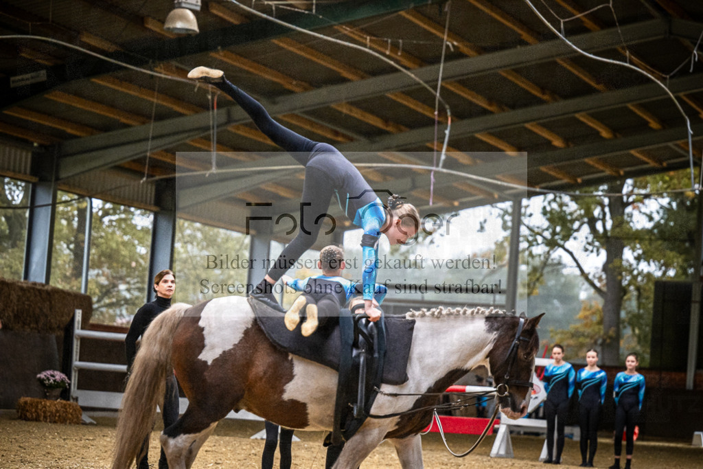 DOS_0152 | Entdecke hochwertige Reitturnierfotos von Foto Oger. Professionell, emotional und authentisch – jetzt Lieblingsmomente im Shop bestellen.Deutschlandweite Turnierfotografie. - Realisiert mit Pictrs.com