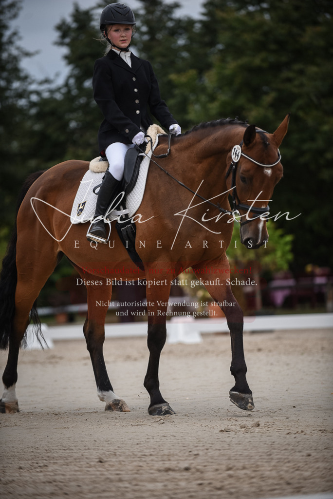 DSC_8040 | Pferde- und Turnierfotografie in Westsachsen. Pferdeportraits, Auftragszeichnungen und intuitive Kunst.