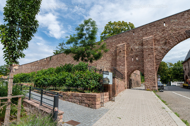 Worms-2025DSC_8679 | Die Stadtmauer bei St. Andreas in Worms gehört zu den ältesten mittelalterlichen Stadtbefestigungen Deutschlands. Gut erhaltene Sandsteinmauern und ein markantes Tor prägen dieses historische Wahrzeichen in der Wormser Altstadt.