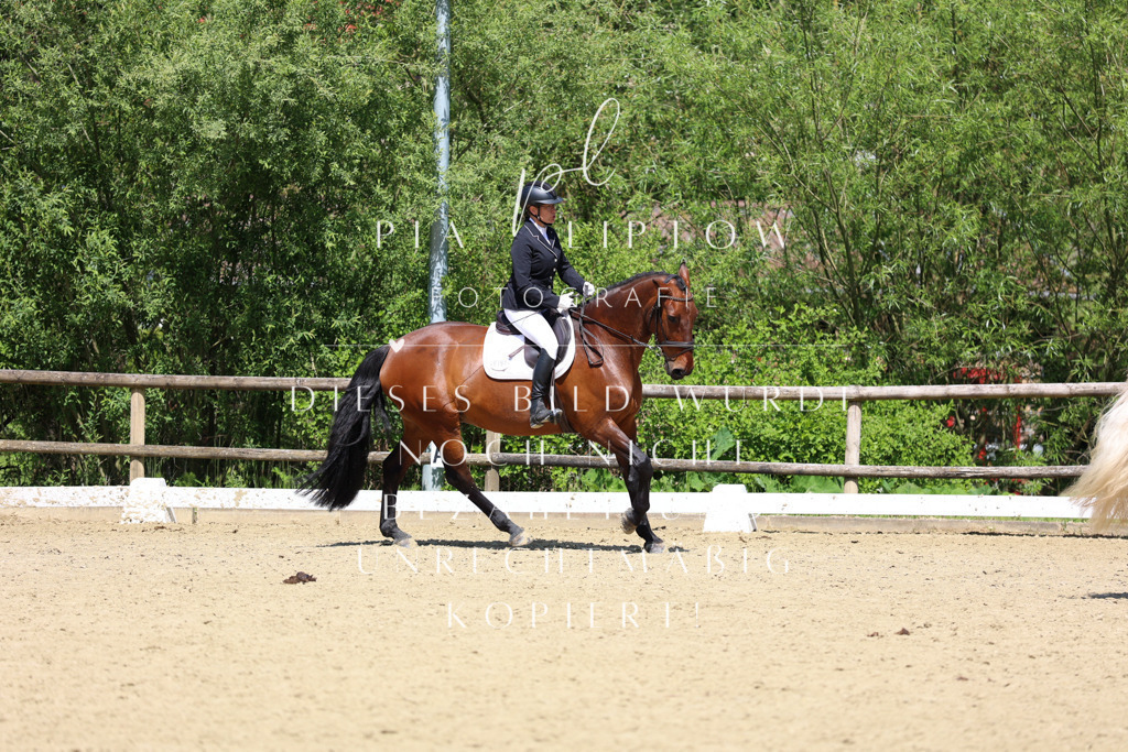 IMGS3057 | pl-fotografie