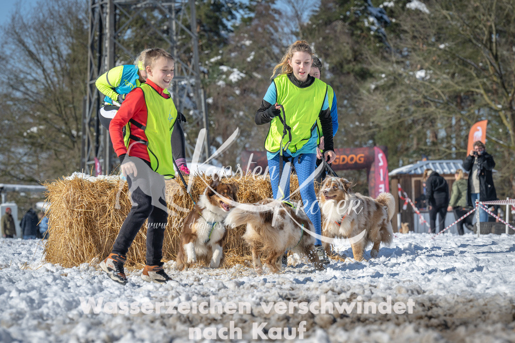 1147_ZZ91140-4 | kk-dogfotos