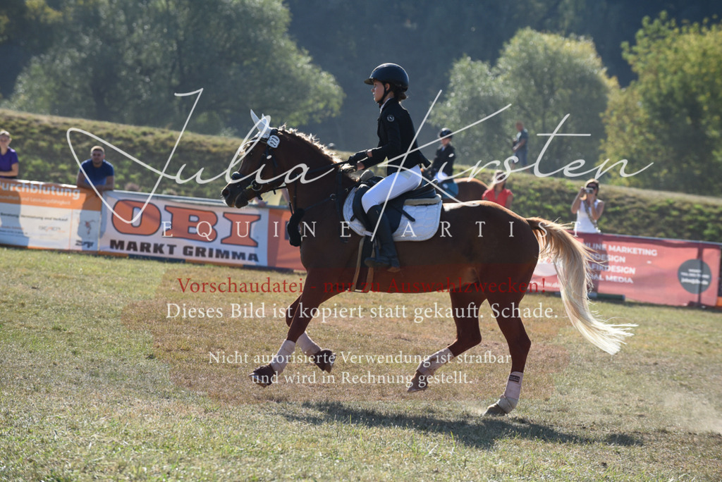 DSC_5825 | Pferde- und Turnierfotografie in Westsachsen. Pferdeportraits, Auftragszeichnungen und intuitive Kunst.