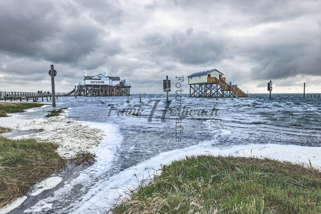 _X0A2583-2 | Frank Herberich Fotografie, Frank Herberich, Fotografie, Hochzeit, Portrait, St. Peter Ording, Ording, Westerhever, Nordsee, Frank Fotografie, Hardheim,  Odenwald,Walldürn, Band,Eventfotografie - Realisiert mit Pictrs.com