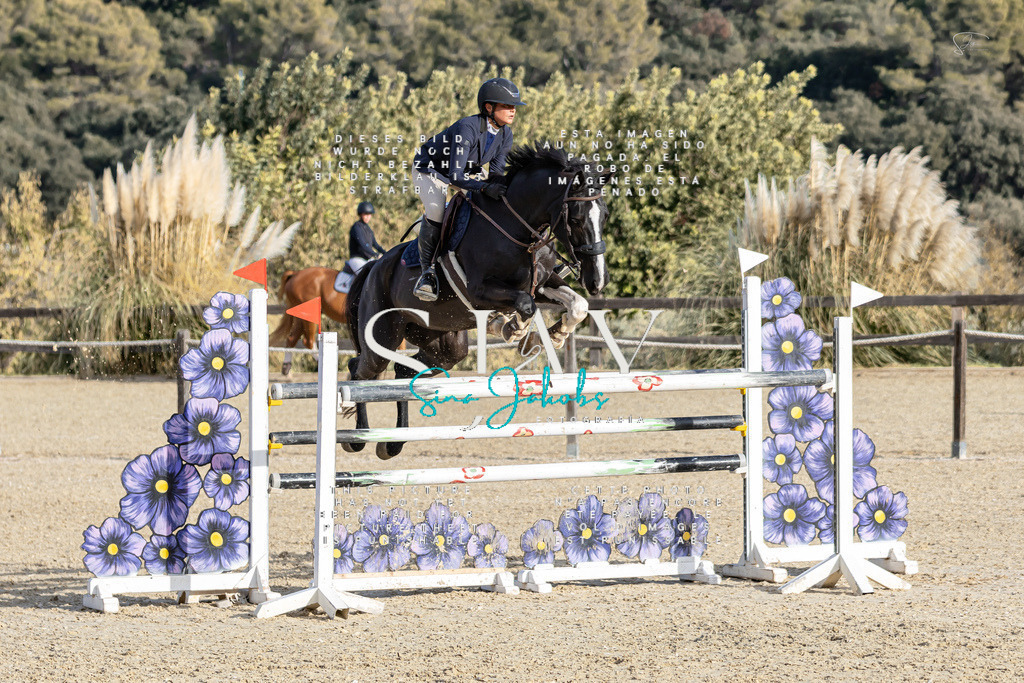 IMG_0482 | s-jay-photography - Realisiert mit Pictrs.com