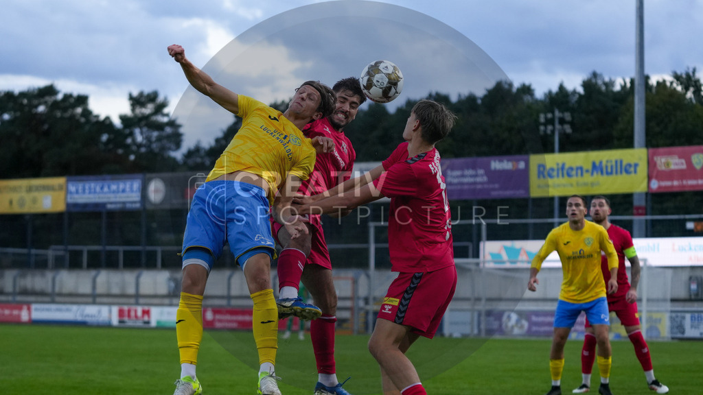 Fußball, Herren, Saison 2025/2026, Regionalliga Nordost, 8. Spieltag, FSV 63 Luckenwalde vs. FC Hertha 03 Zehlendorf, Dienstag 16.09.2025, Werner-Seelenbinder-Stadion Luckenwalde, | Fußball, Herren, Saison 2025/2026, Regionalliga Nordost, 8. Spieltag, FSV 63 Luckenwalde vs. FC Hertha 03 Zehlendorf, Dienstag 16.09.2025, Werner-Seelenbinder-Stadion Luckenwalde, Im Bild: v.l. Phillip König (Luckenwalde), Ernes Smailovic (Zehlendorf) und Ben Schulz (Zehlendorf) - Realisiert mit Pictrs.com