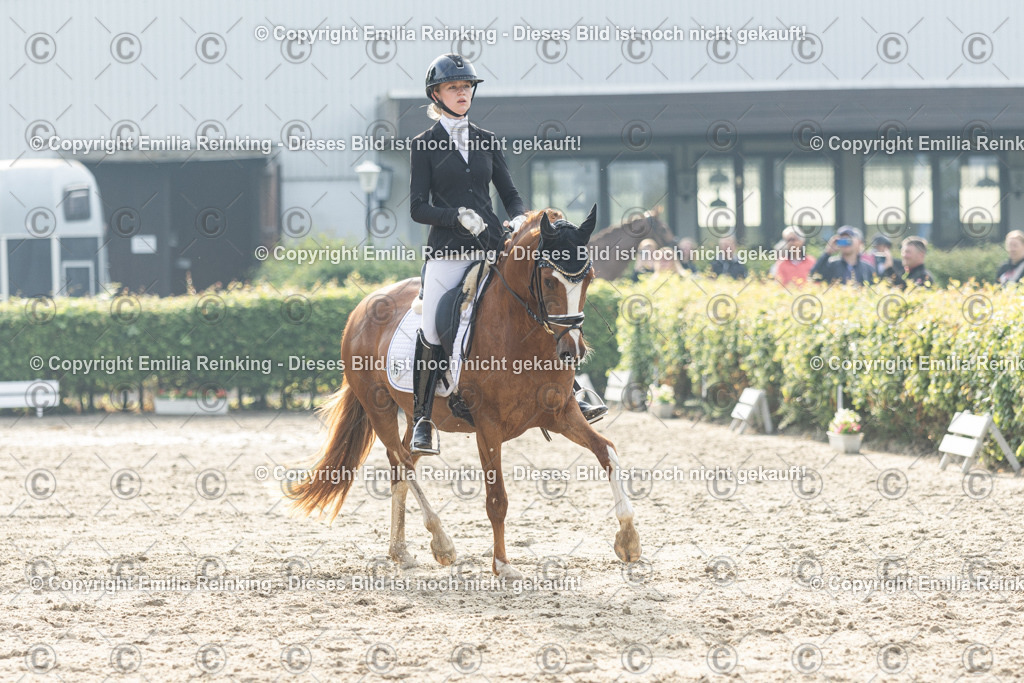 CL5A3565 | Emilia Reinking Fotografie - Realisiert mit Pictrs.com