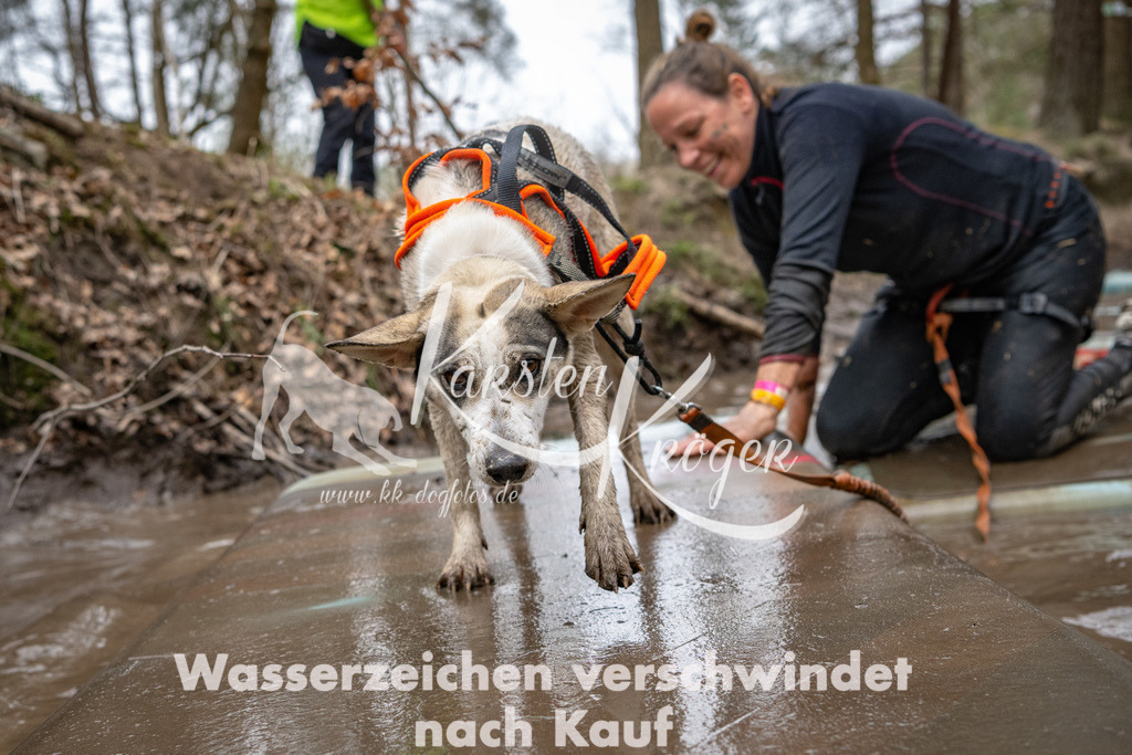 1243DSC_7847 | kk-dogfotos