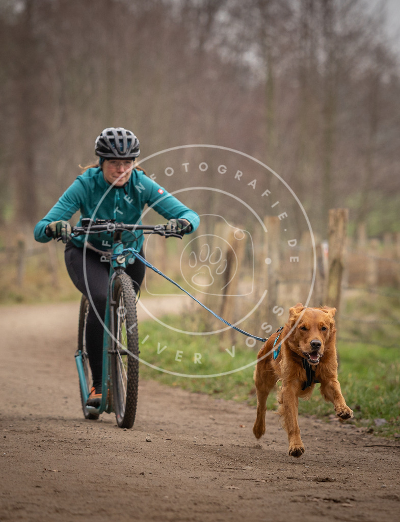 Pfotenfotografie_DV3A3258 | Hundefotografie, Tierfotograf, Pfotenfotografie, Fotoshooting Hund, Hunde Portrait, Hundesport, Hundeportraits, Heideshooting, Hunde, Sportfotograf, Hundefotograf, Turnierhundsport, THS,  - Realisiert mit Pictrs.com