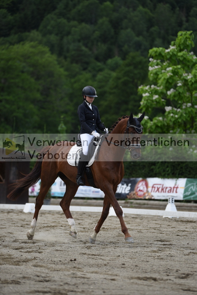 DSC_6539 | equestrian-live-com