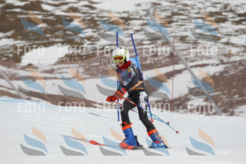 _U3G2474 | holidayphoto