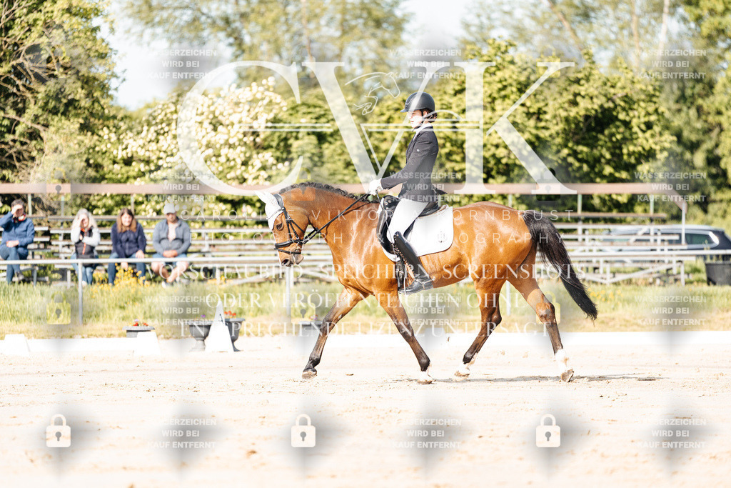 CK900059 | Turnierfotografie Pferdefotografie Trier Rheinland-Pfalz Pferdesport Reitsport Tierfotografie Sportfotografie Pferdevideo Pferdevideografie Equestrianvideography equestrianphotography  - Realisiert mit Pictrs.com