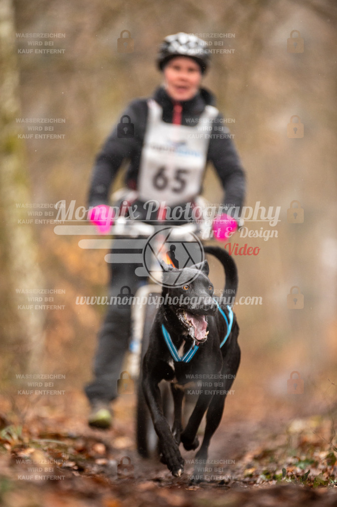 Reiat2023_SON_Bike_5km_1H-32 | PayLife