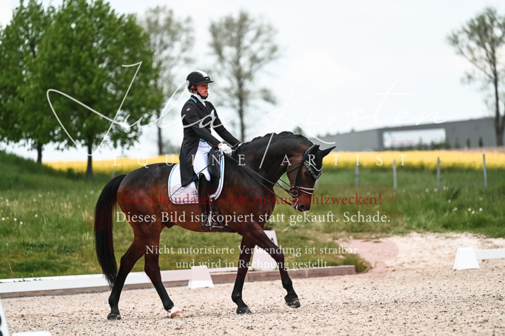 20230514_JK-Röhrsdorf-21-246 | Pferde- und Turnierfotografie in Westsachsen. Pferdeportraits, Auftragszeichnungen und intuitive Kunst.