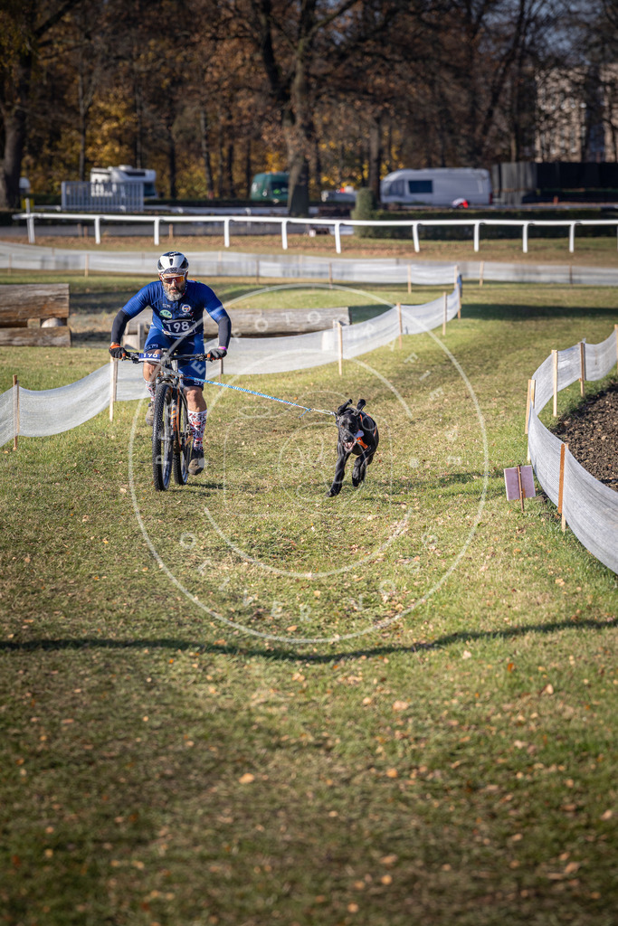 CaniXpix_DV3A2634 | Hundefotografie, Tierfotograf, Pfotenfotografie, Fotoshooting Hund, Hunde Portrait, Hundesport, Hundeportraits, Heideshooting, Hunde, Sportfotograf, Hundefotograf, Turnierhundsport, THS,  - Realisiert mit Pictrs.com